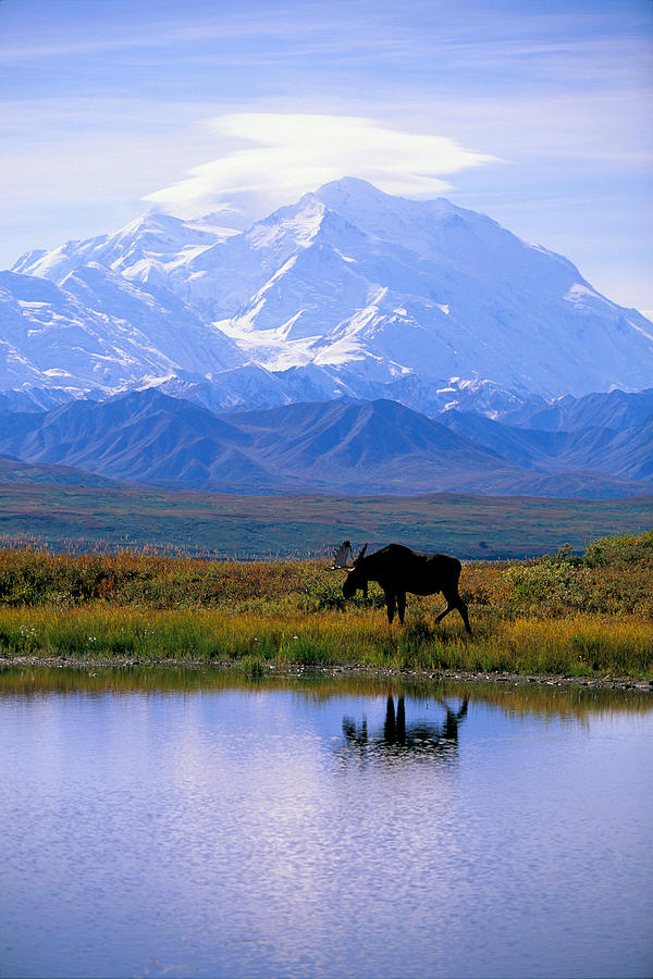 Denali National Park